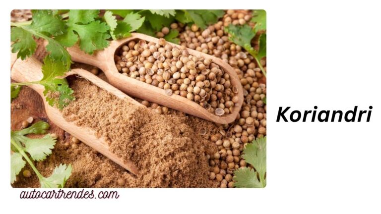 Koriandri